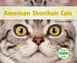 Cover image for American Shorthair Cats