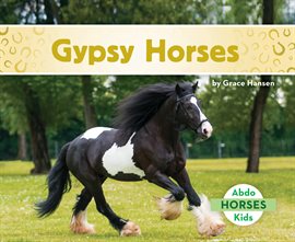 Cover image for Gypsy Horses