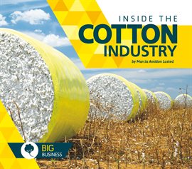 Imagen de portada para Inside the Cotton Industry