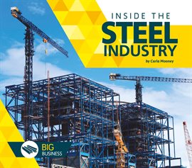 Imagen de portada para Inside the Steel Industry