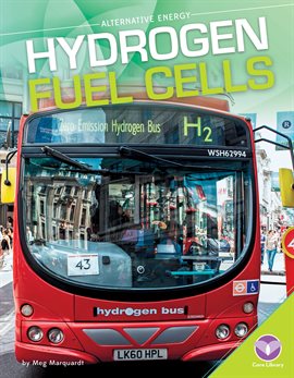 Cover image for Hydrogen Fuel Cells