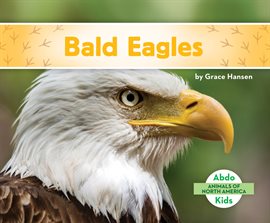 Cover image for Bald Eagles