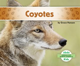 Cover image for Coyotes