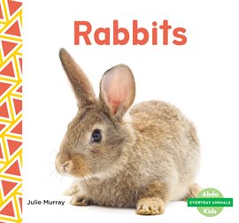 Cover image for Rabbits