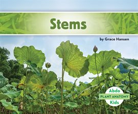 Cover image for Stems