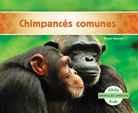 Cover image for Chimpancés comunes (Chimpanzees)