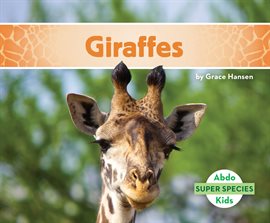 Cover image for Giraffes