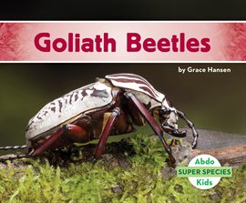 Cover image for Goliath Beetles