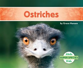 Cover image for Ostriches