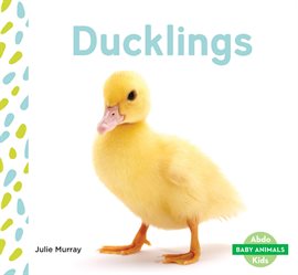 Cover image for Ducklings