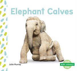 Cover image for Elephant Calves