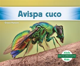 Avispa cuco (Cuckoo Wasp) Avispa cuco (Cuckoo Wasp)