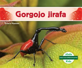 Gorgojo jirafa (Giraffe Weevil) Gorgojo jirafa (Giraffe Weevil)