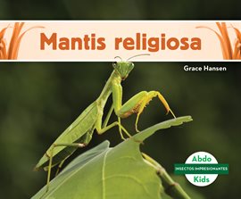 Mantis religiosa (Praying Mantis) Mantis religiosa (Praying Mantis)