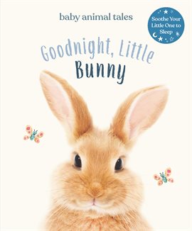 Imagen de portada para Goodnight, Little Bunny