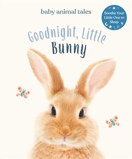 Cover image for Goodnight, Little Bunny