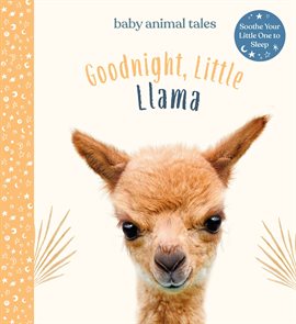 Cover image for Goodnight, Little Llama