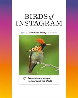 Cover image for Birds of Instagram