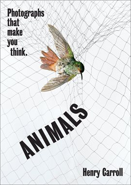 Cover image for Animals