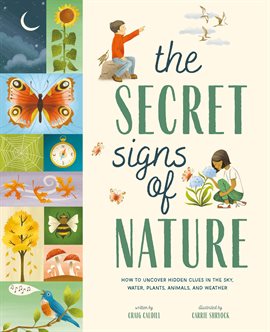 Cover image for The Secret Signs of Nature