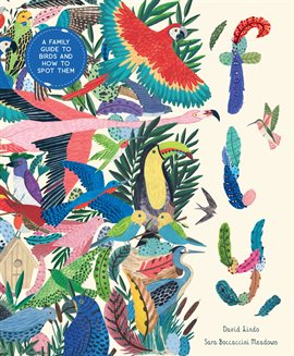 Cover image for Fly