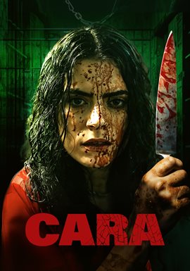 Imagen de portada para Cara
