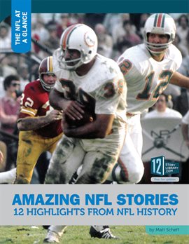 Cover image for Amazing NFL Stories