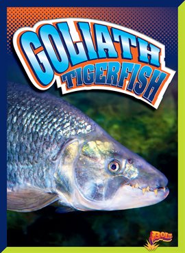 Cover image for Goliath Tigerfish