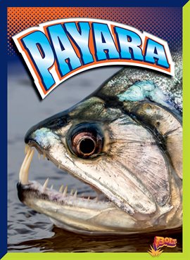 Cover image for Payara