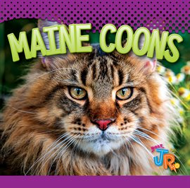 Cover image for Maine Coons