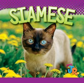 Cover image for Siamese