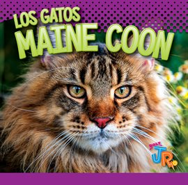 Cover image for Los Gatos Maine Coon