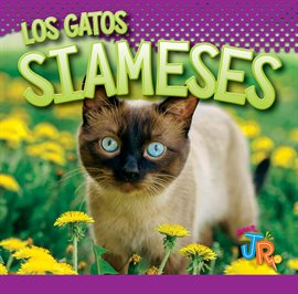 Cover image for Los Gatos Siameses