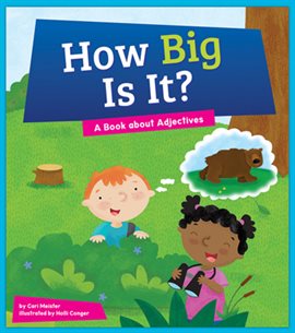 Cover image for How Big Is It?
