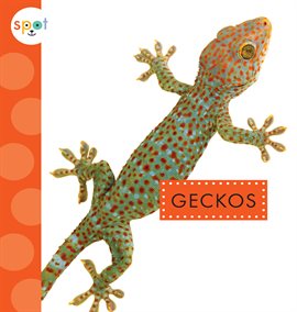 Cover image for Geckos