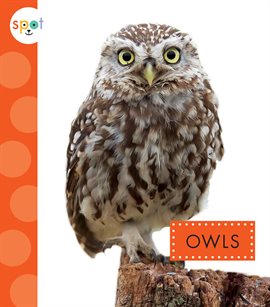 Imagen de portada para Owls