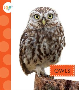 Cover image for Owls