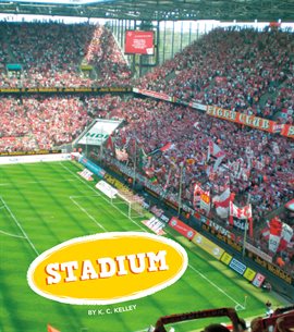 Cover image for Stadium