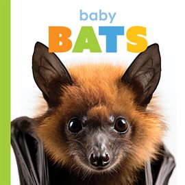 Imagen de portada para Baby Bats