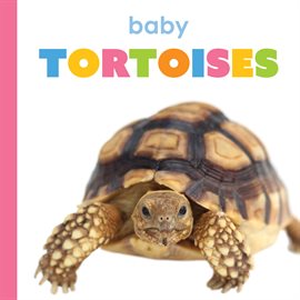 Imagen de portada para Baby Tortoises