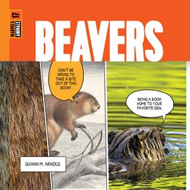 Cover image for Beavers