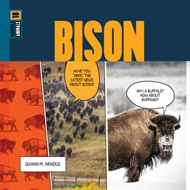 Cover image for Bison