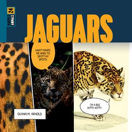 Cover image for Jaguars