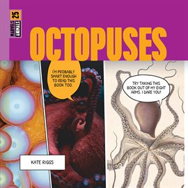 Cover image for Octopuses