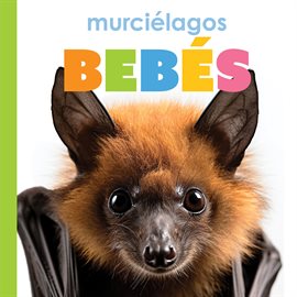 Imagen de portada para Murciélagos Bebés