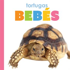 Imagen de portada para Tortugas Bebés