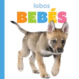 Imagen de portada para Lobos Bebés