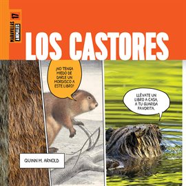 Cover image for Los Castores