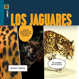 Cover image for Los Jaguares