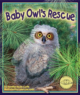 Cover image for Baby Owl's Rescue